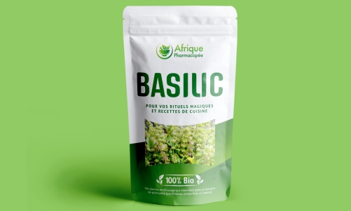 Basilic (Ocimum canum)