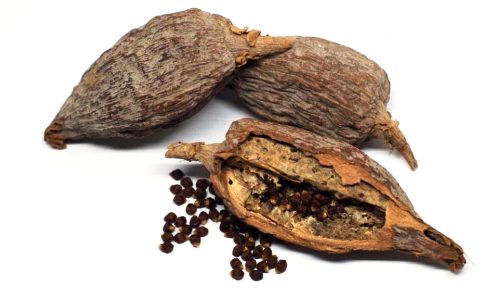 Gousse de Piment de Guinée / Poivre d'alligator / Maniguette – Image 2