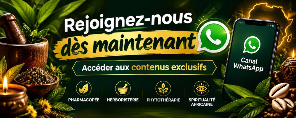 Rejoignez notre Canal WhatsApp